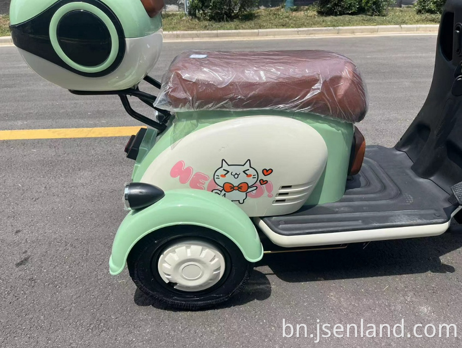 বৈদ্যুতিক মিনি ট্রাইসাইকেল Electric Mini Tricycle